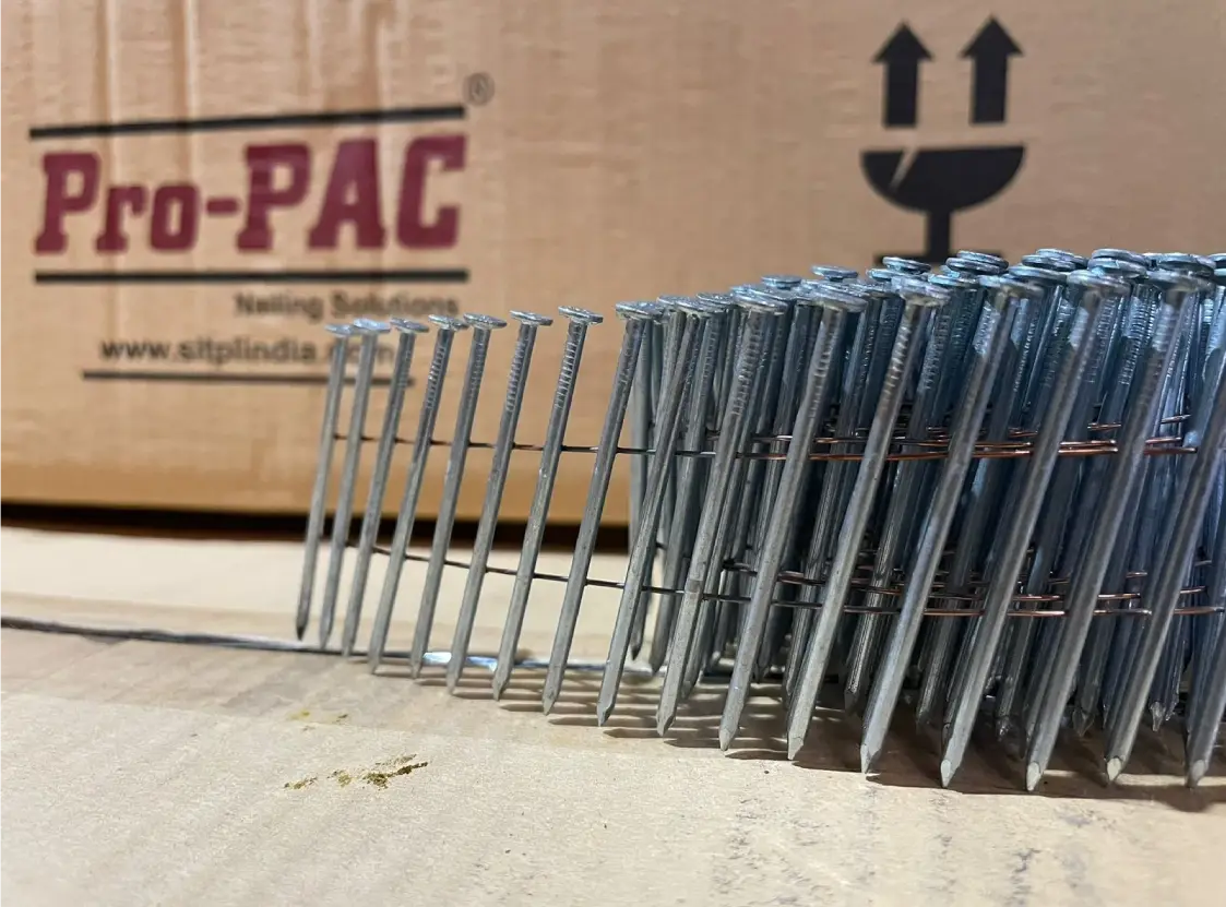 galvanised coil nails