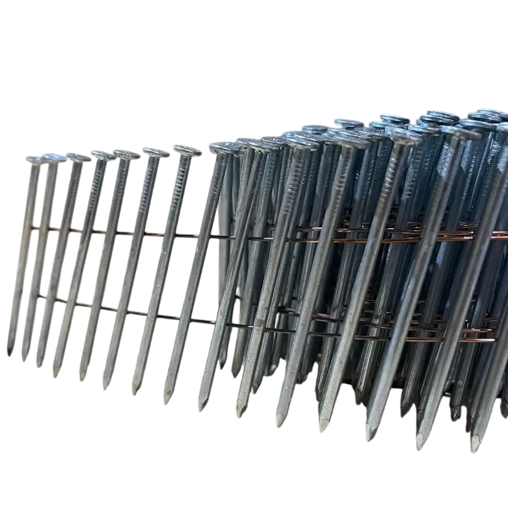 Hot Dip Galvanised Coil Nails