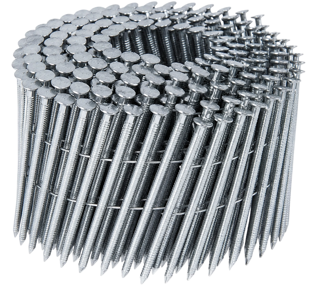 SS Coil Nails